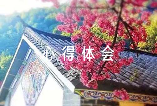 篮球一周训练计划方案_2